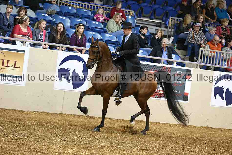 Proof 12usn_01242