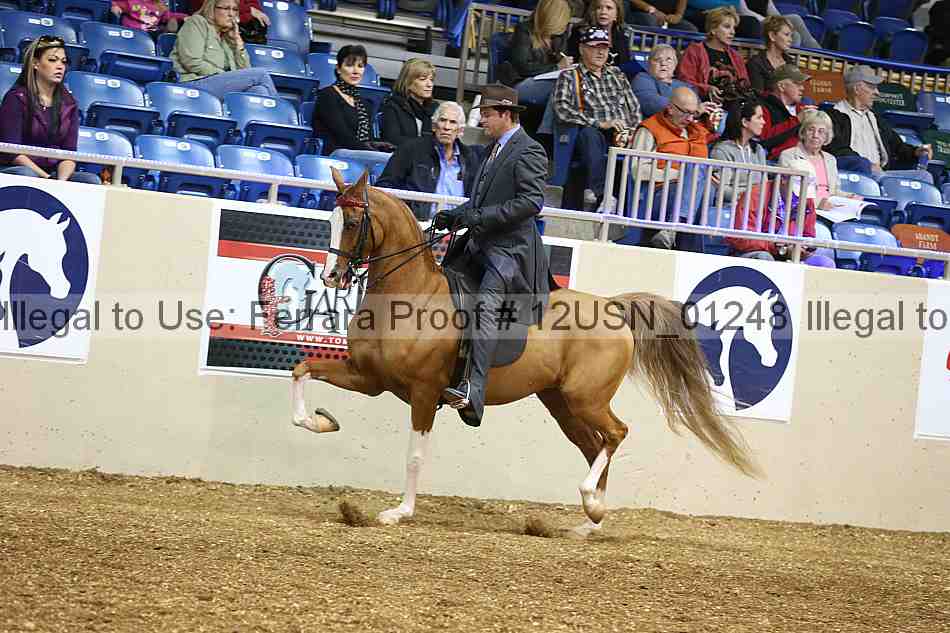 Proof 12usn_01248