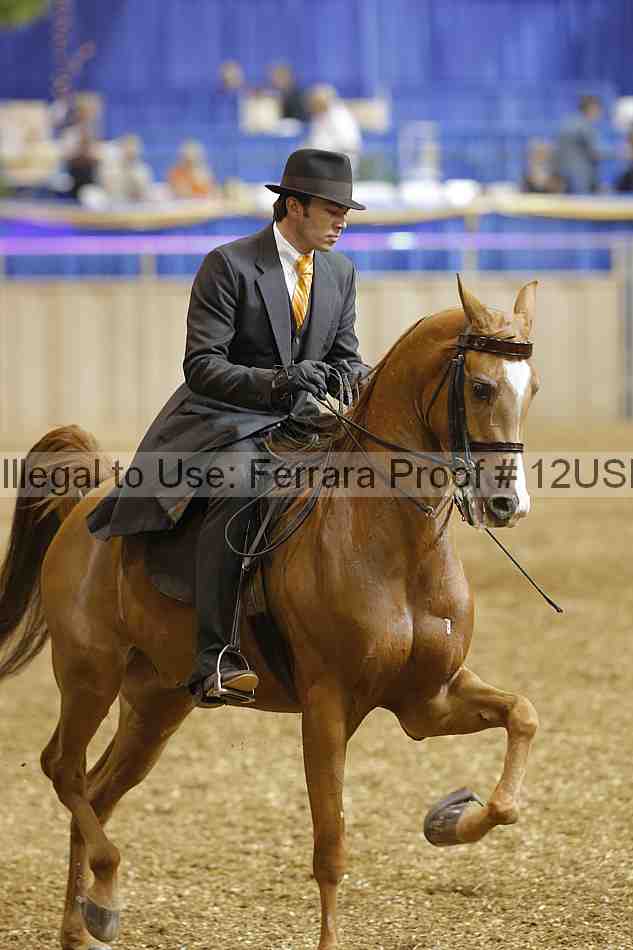 Proof 12usn_01254