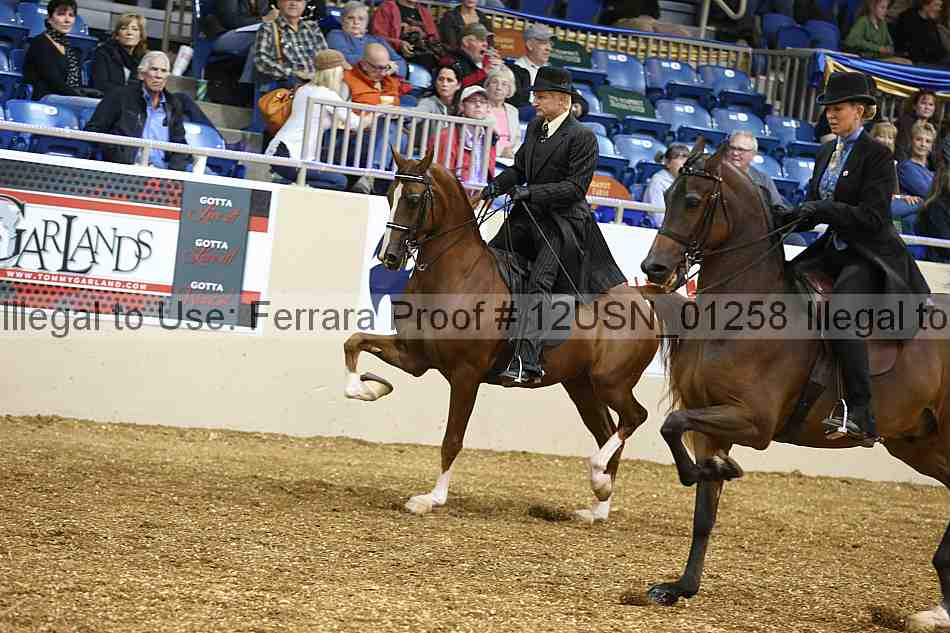Proof 12usn_01258