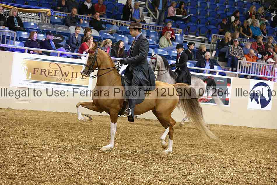 Proof 12usn_01264
