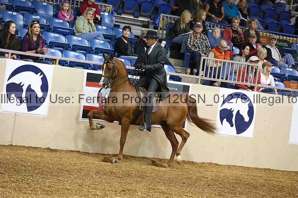 Proof 12usn_01276