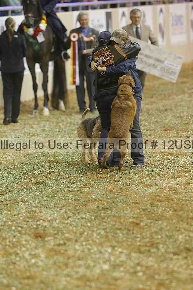 Proof 12usn_28903