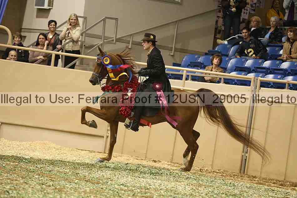 Proof 12usn_29005
