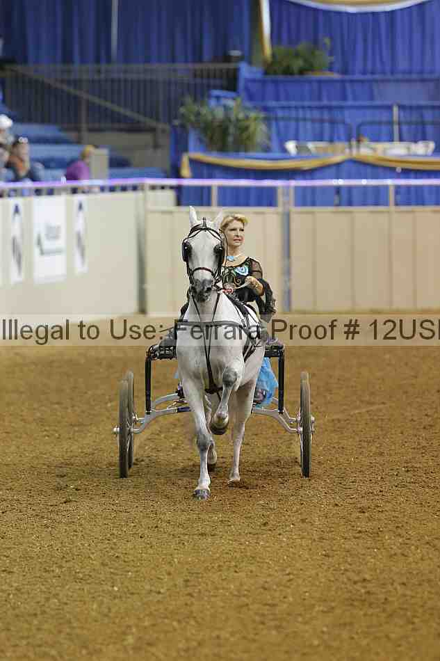 Proof 12usn_06795