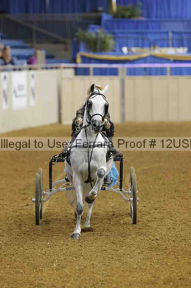 Proof 12usn_06797