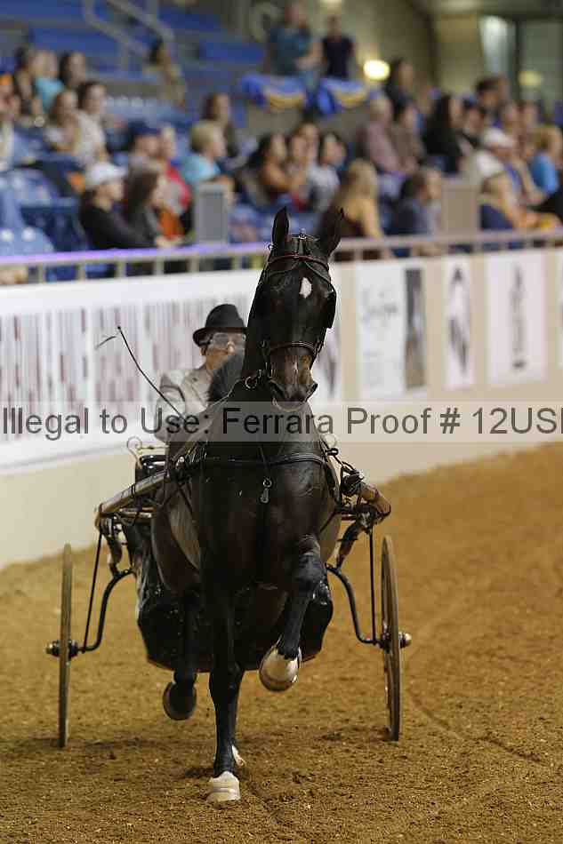 Proof 12usn_06815