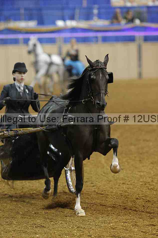 Proof 12usn_06820