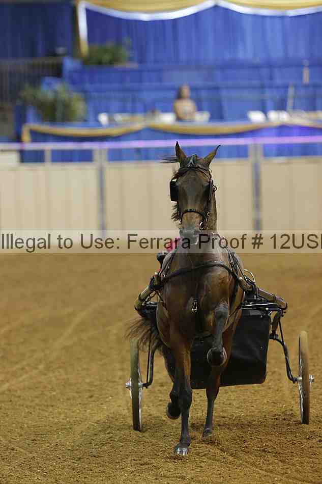 Proof 12usn_06834