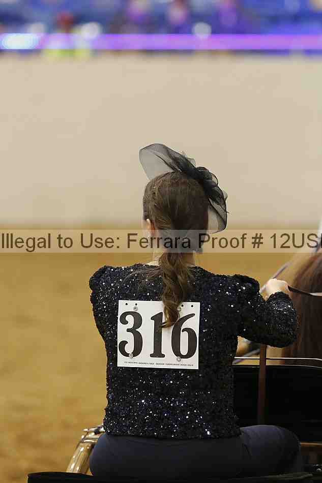 Proof 12usn_06864