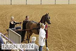 12usn_06874 proof