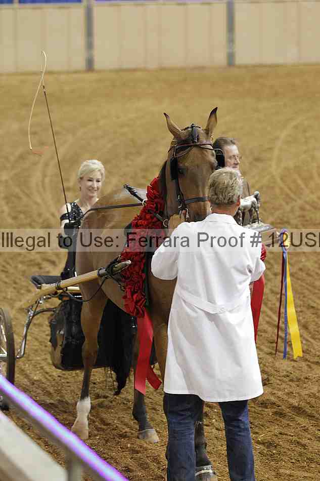 Proof 12usn_06889