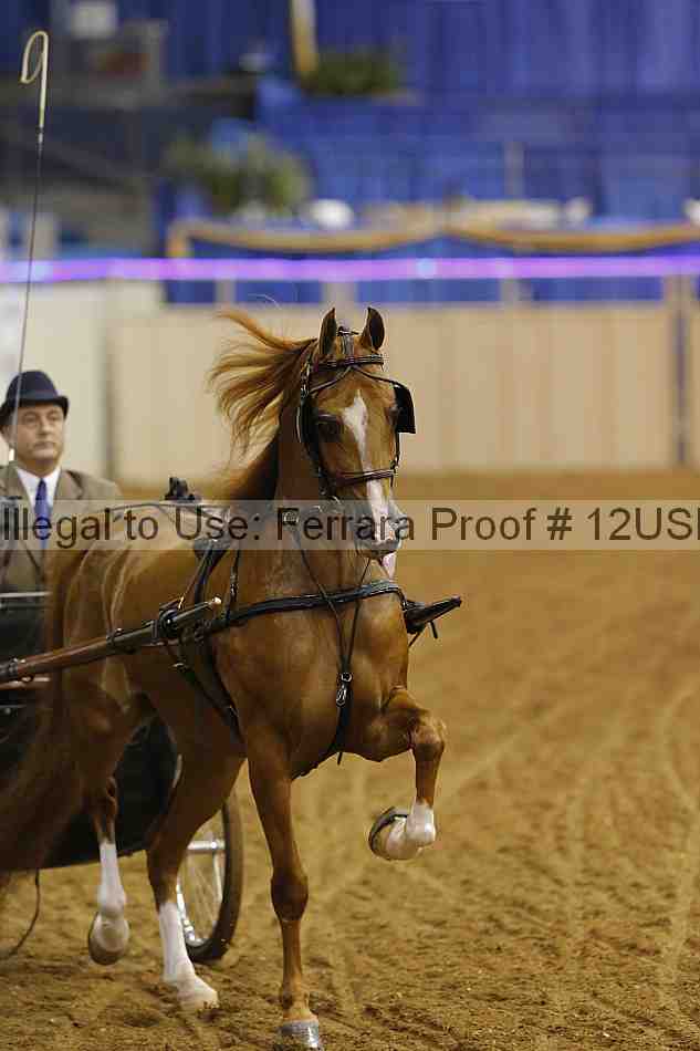 Proof 12usn_13880