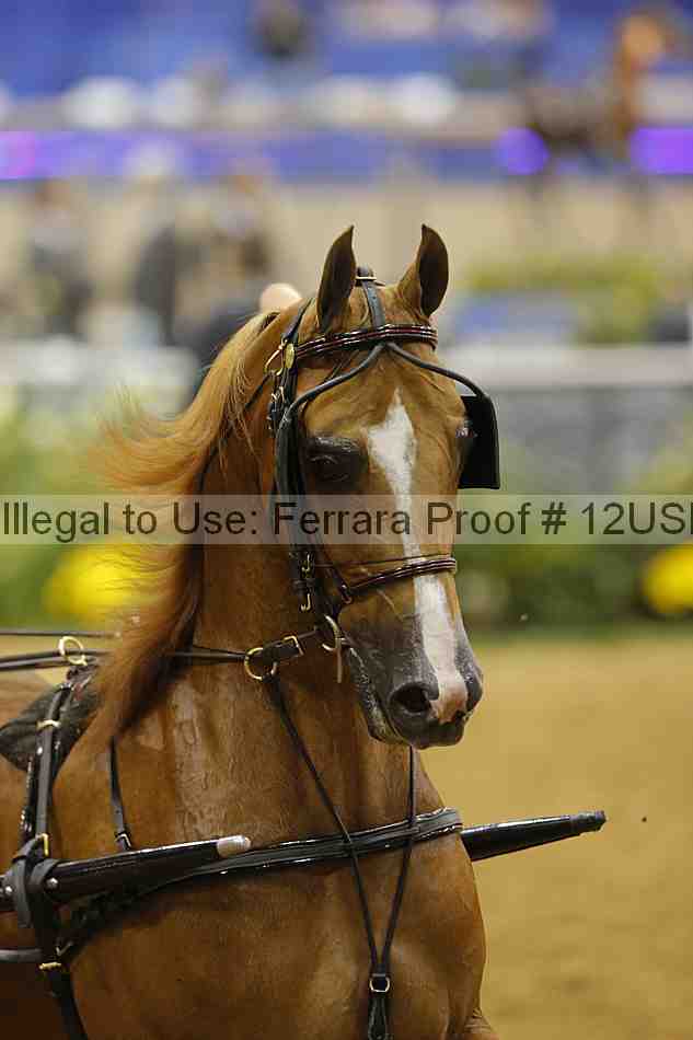 Proof 12usn_13885