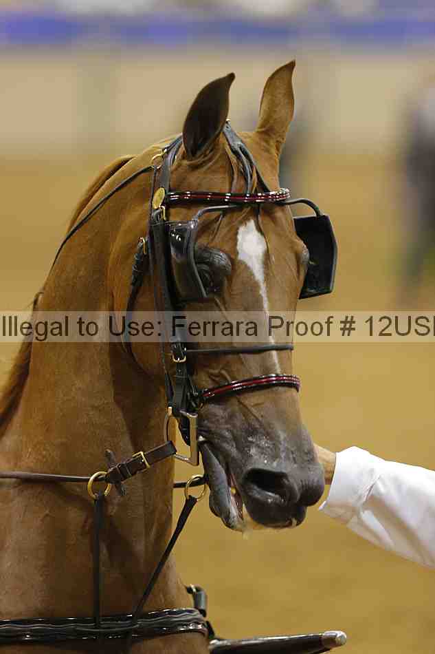 Proof 12usn_13892