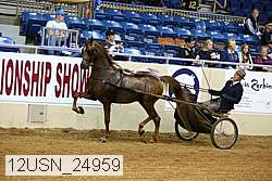 12usn_24959 proof