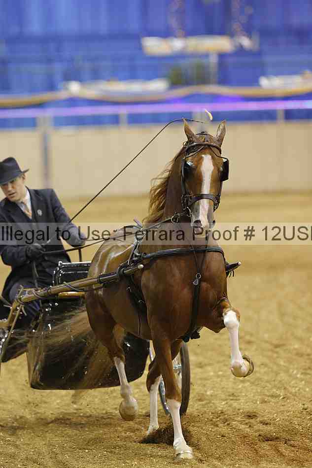 Proof 12usn_24966