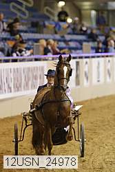 12usn_24978 proof