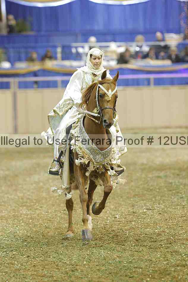 Proof 12usn_29228