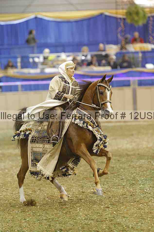 Proof 12usn_29235