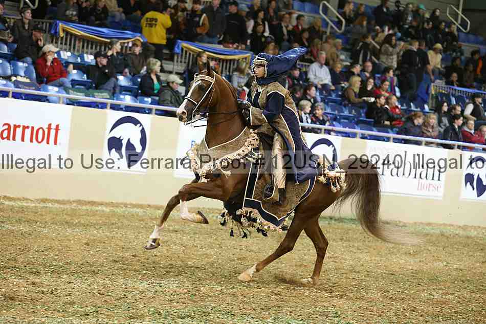Proof 12usn_29240