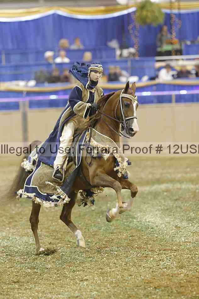 Proof 12usn_29241