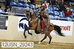 12usn_29243 proof