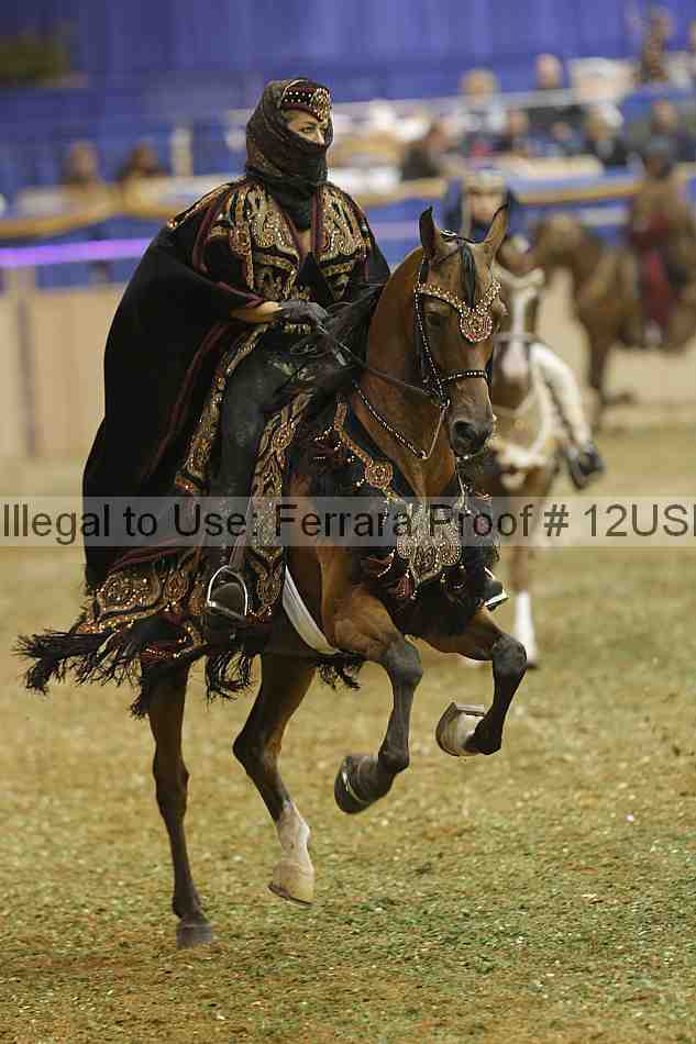 Proof 12usn_29267