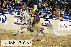 12usn_29283 proof