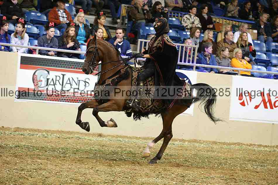 Proof 12usn_29285