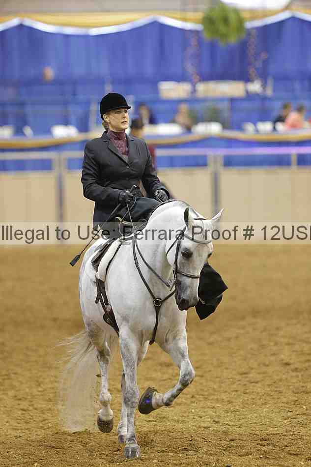 Proof 12usn_09360
