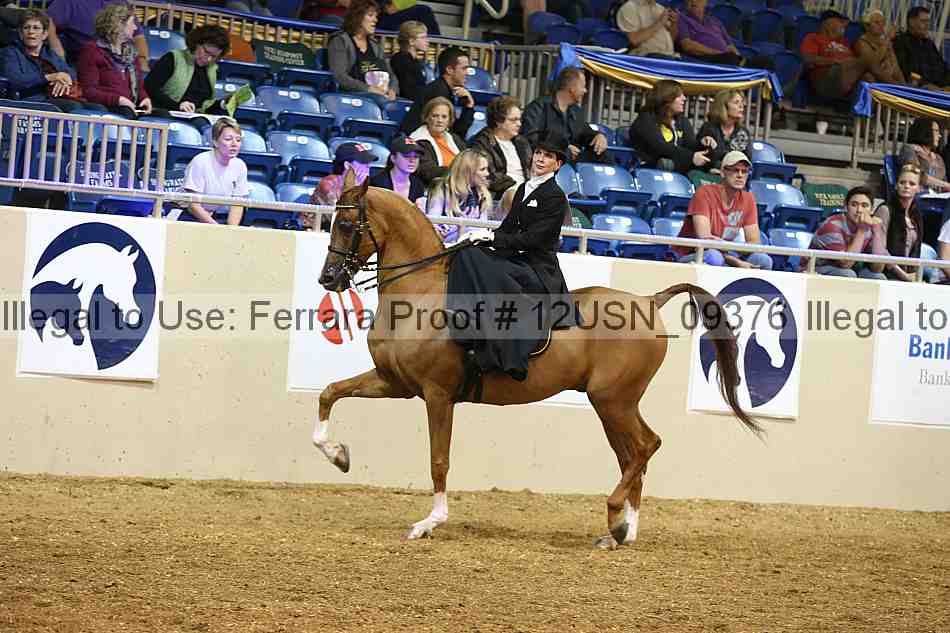 Proof 12usn_09376