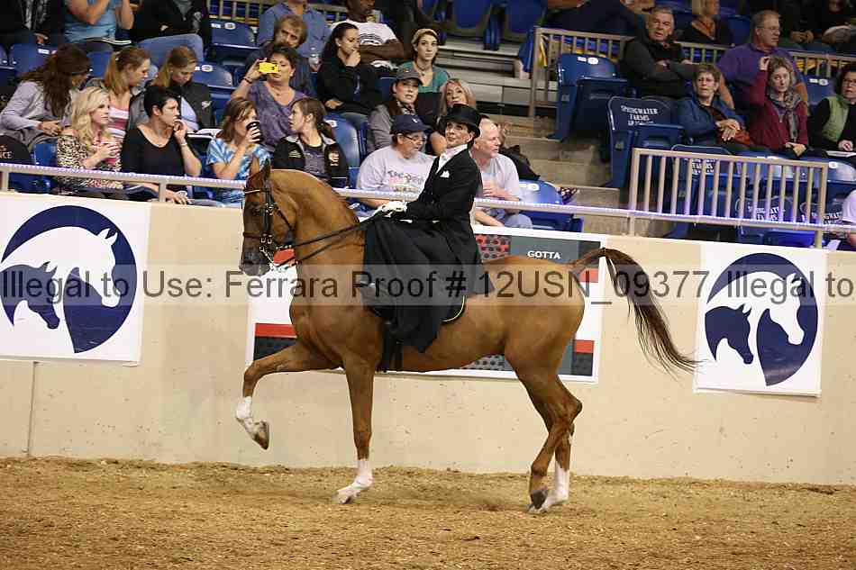 Proof 12usn_09377