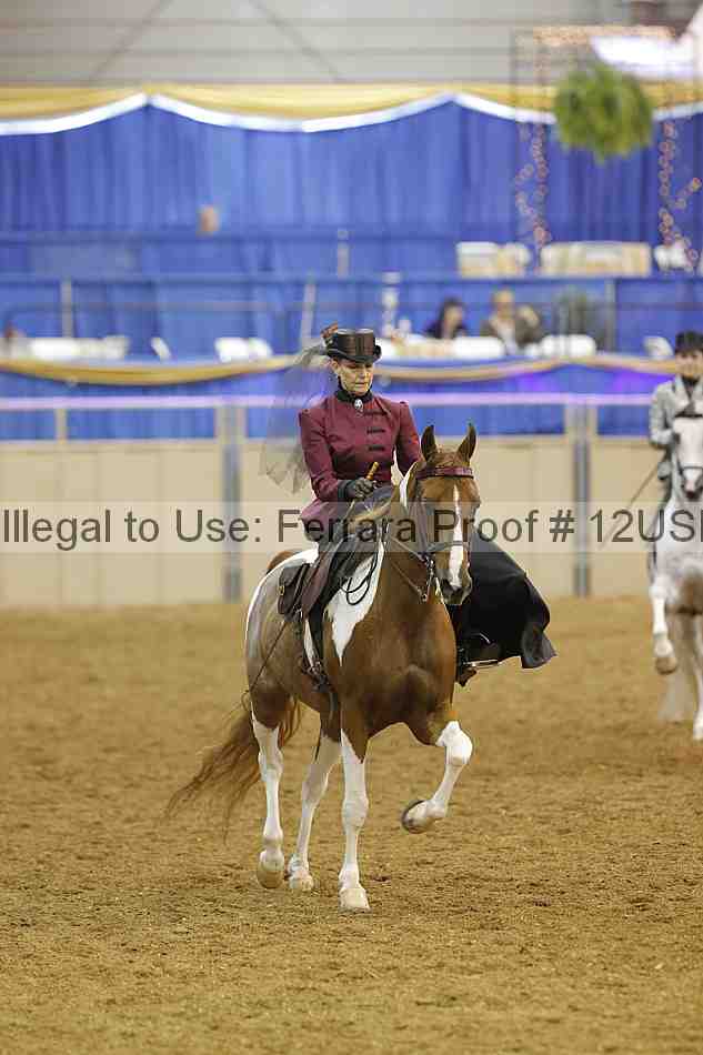 Proof 12usn_09385