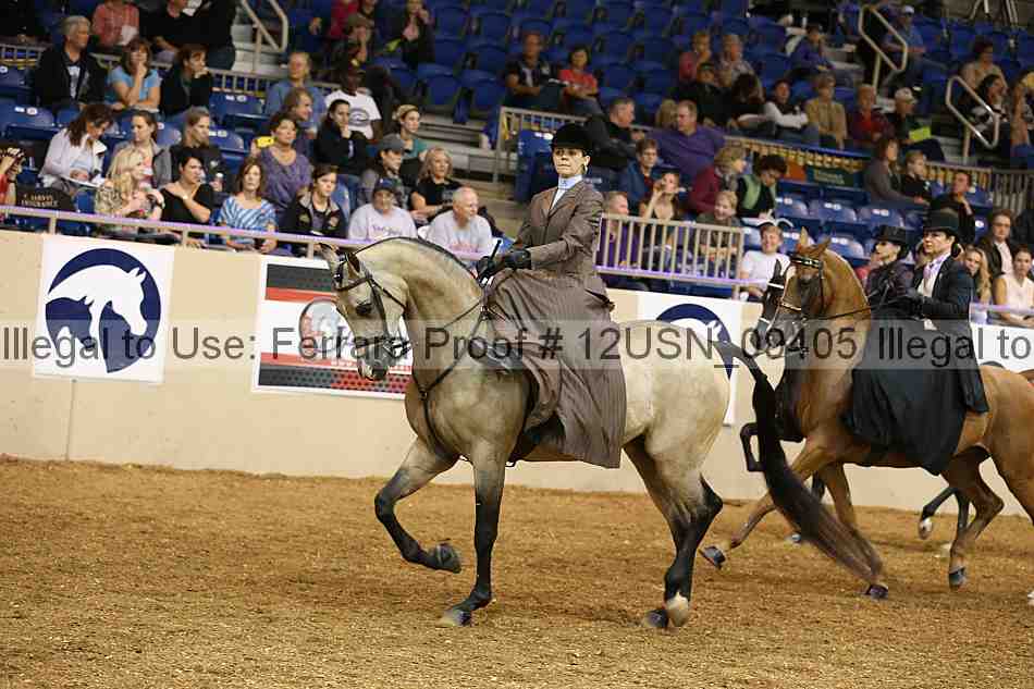 Proof 12usn_09405