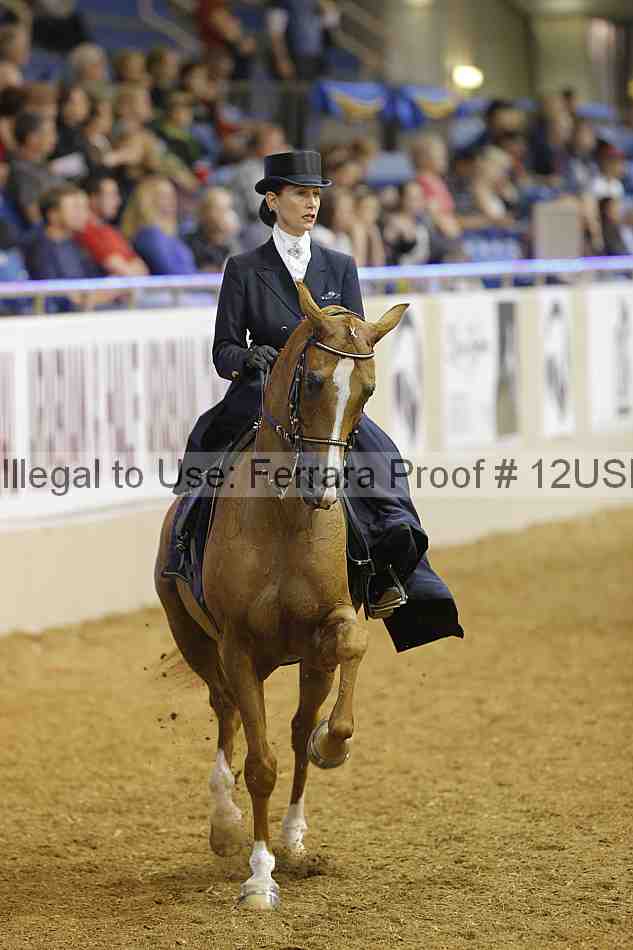Proof 12usn_09406