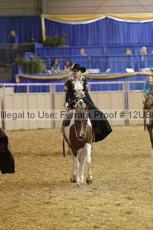 Proof 12usn_16870