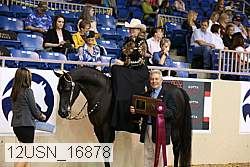 12usn_16878 proof