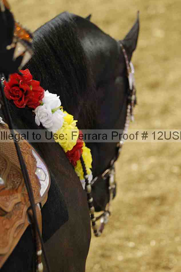 Proof 12usn_16908