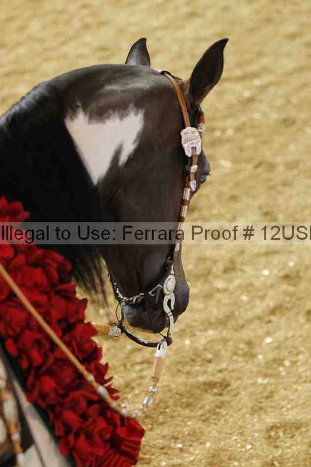 Proof 12usn_16940