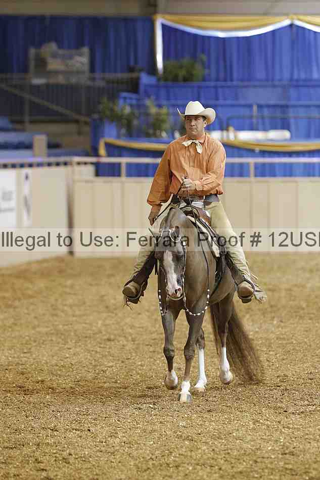 Proof 12usn_01677