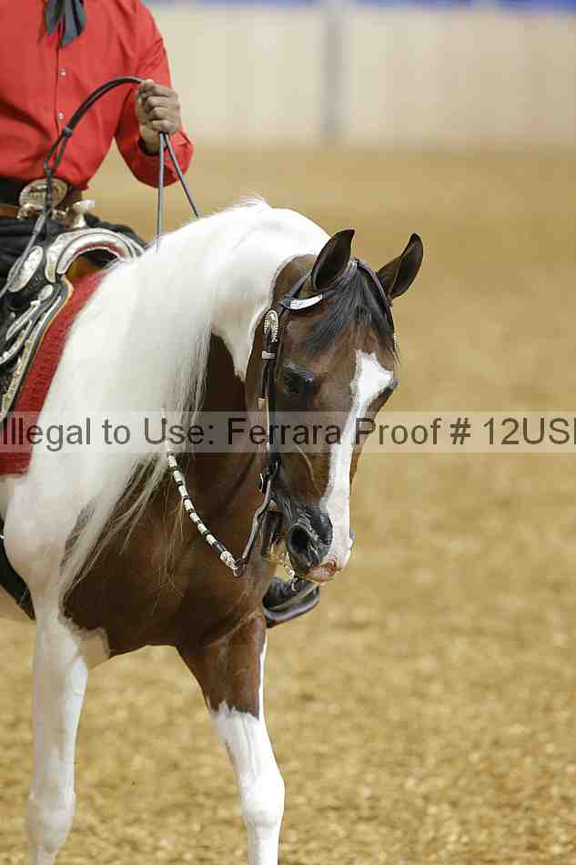 Proof 12usn_01737