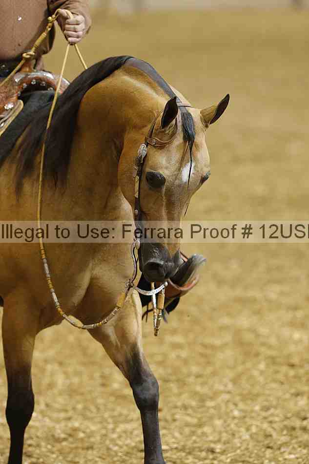 Proof 12usn_01742