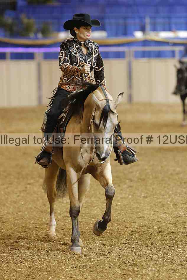 Proof 12usn_01749