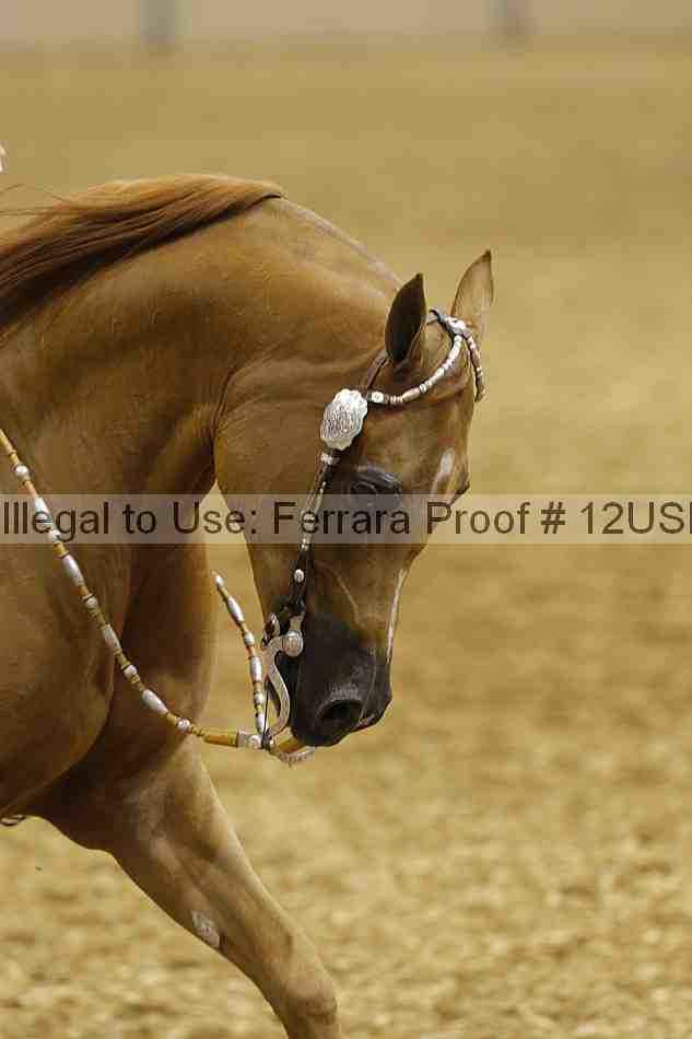 Proof 12usn_01750