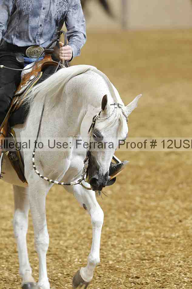 Proof 12usn_01751