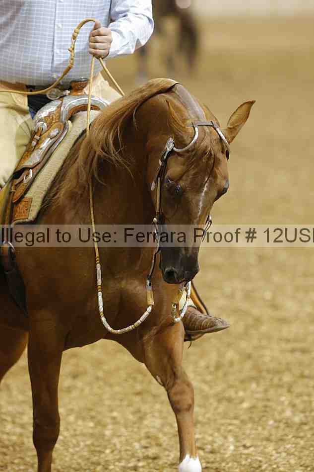 Proof 12usn_01752