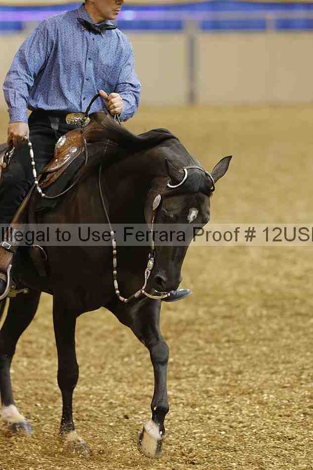 Proof 12usn_01756