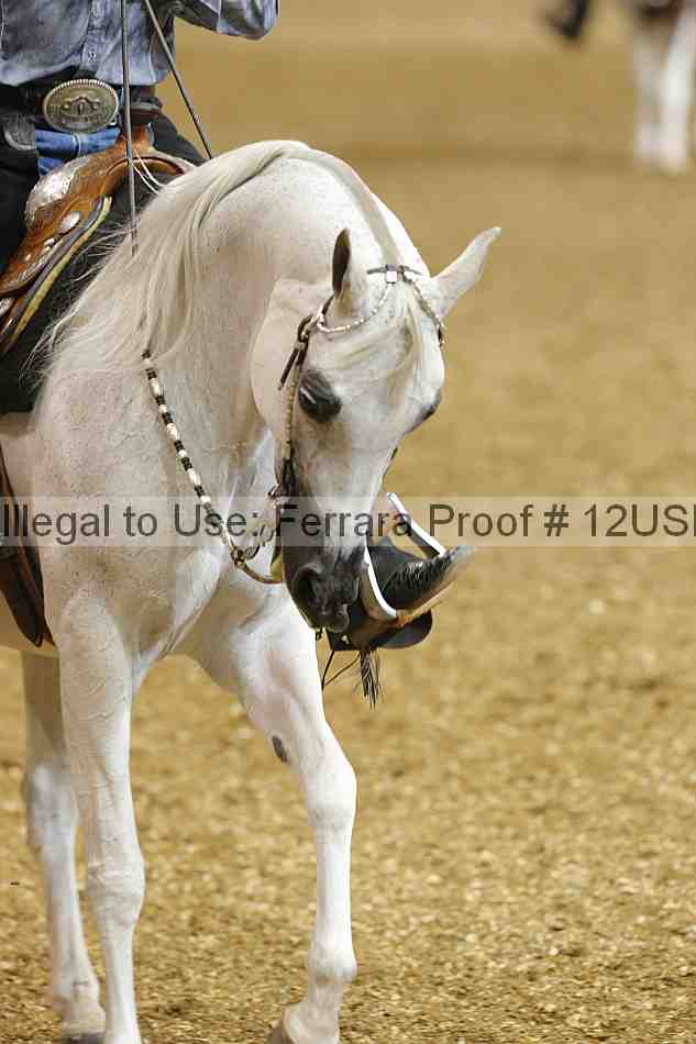 Proof 12usn_01757