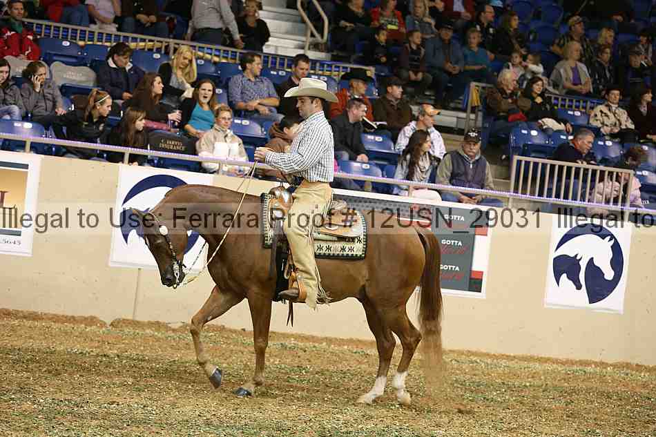 Proof 12usn_29031